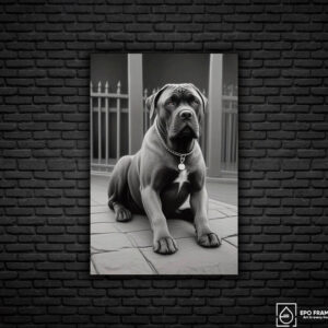 Dog - Epoframes